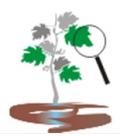 V Jornadas de Riego y Fertirriego