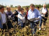 Dr. Peter Buss - Midiendo a campo