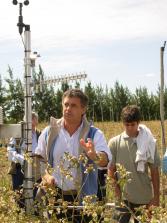 Ing. Marcelo Dip - Muestra a campo