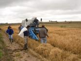 Cosechadora Classic con cabezal para trigo