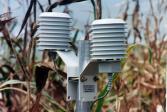 Sensores de temperatura de aire en abrigo
