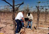 Sonda EnviroSCAN