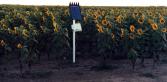 Sonda EnviroSCAN