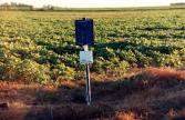 Sonda EnviroSCAN