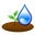 Water mark